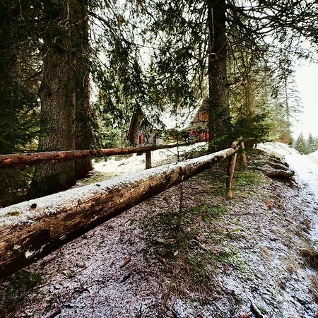 Chalet Stara Jelka Pokljuka ゴレンスカ地方 エクステリア 写真