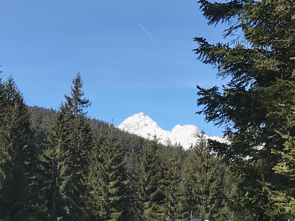 Chalet Stara Jelka Pokljuka ゴレンスカ地方 エクステリア 写真