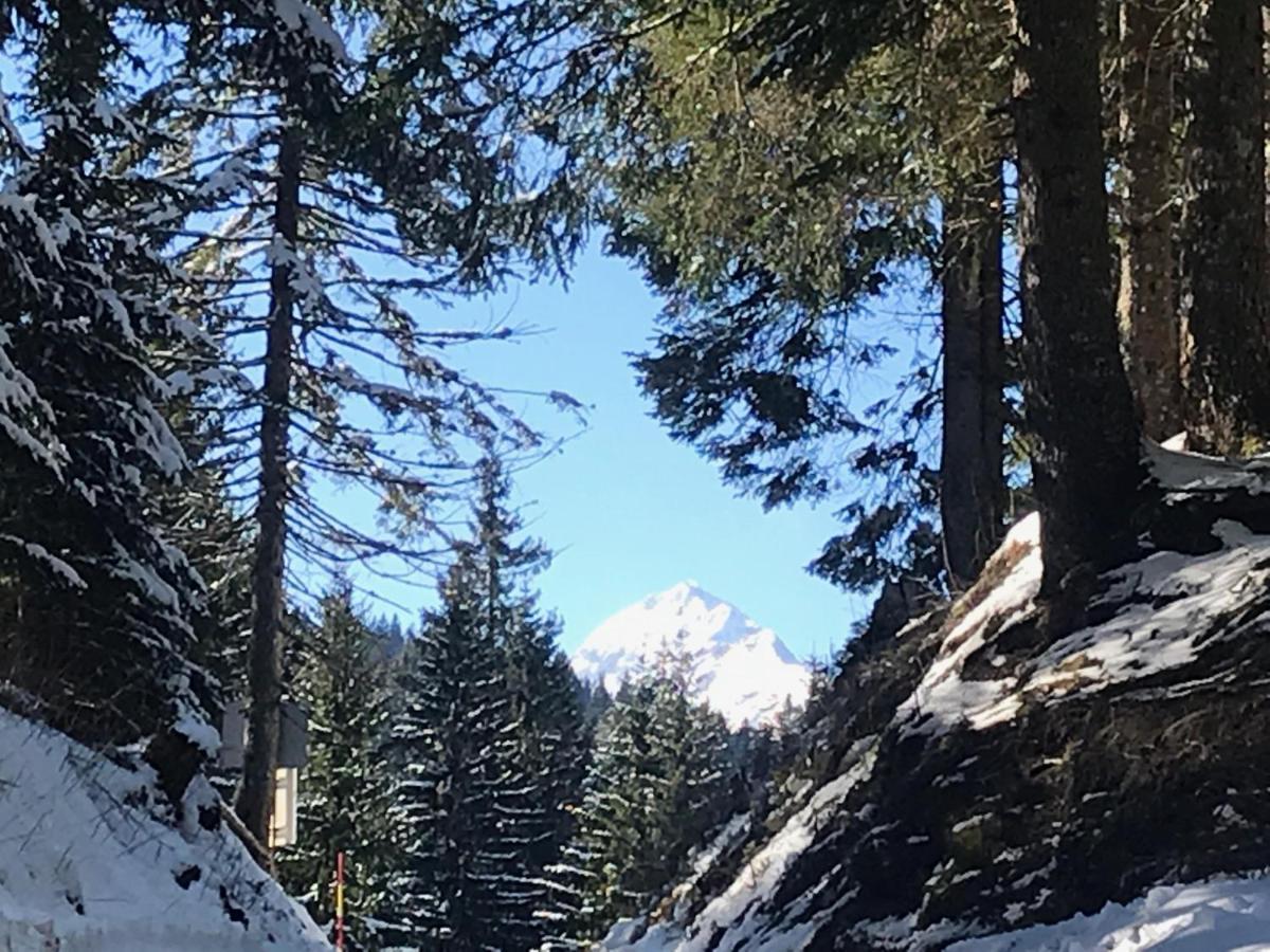 Chalet Stara Jelka Pokljuka ゴレンスカ地方 エクステリア 写真