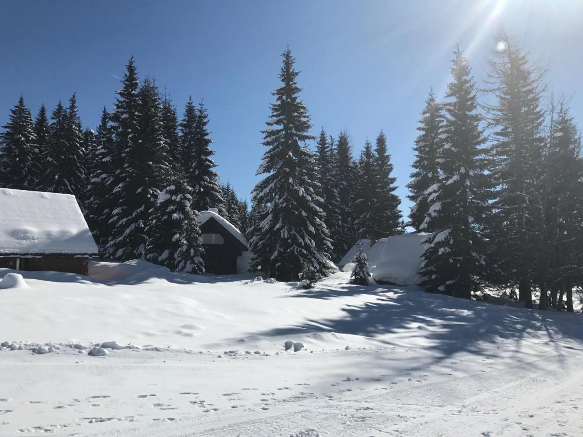 Chalet Stara Jelka Pokljuka ゴレンスカ地方 エクステリア 写真