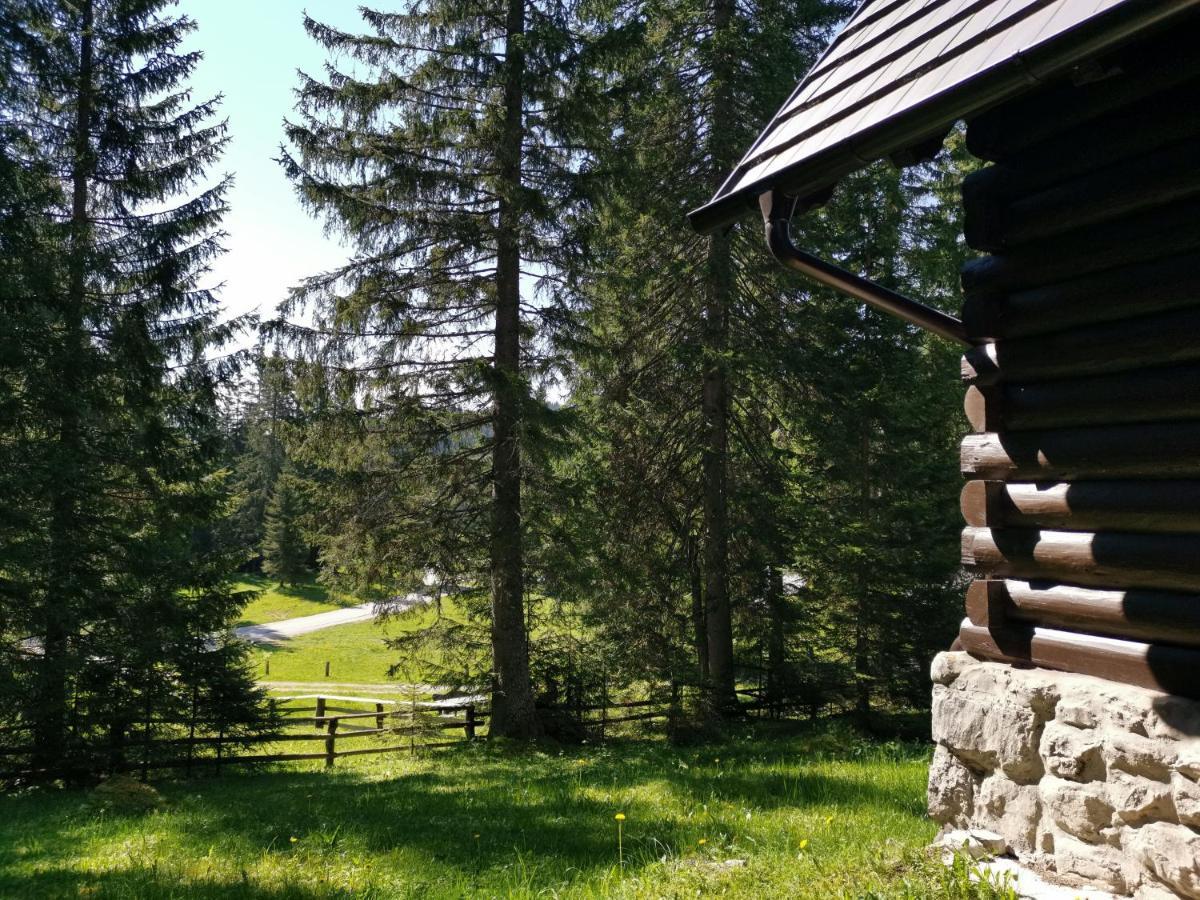 Chalet Stara Jelka Pokljuka ゴレンスカ地方 エクステリア 写真