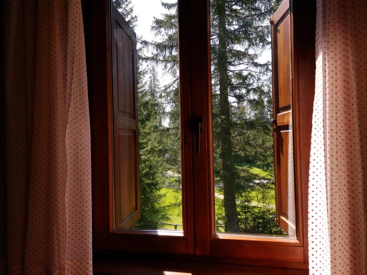 Chalet Stara Jelka Pokljuka ゴレンスカ地方 エクステリア 写真