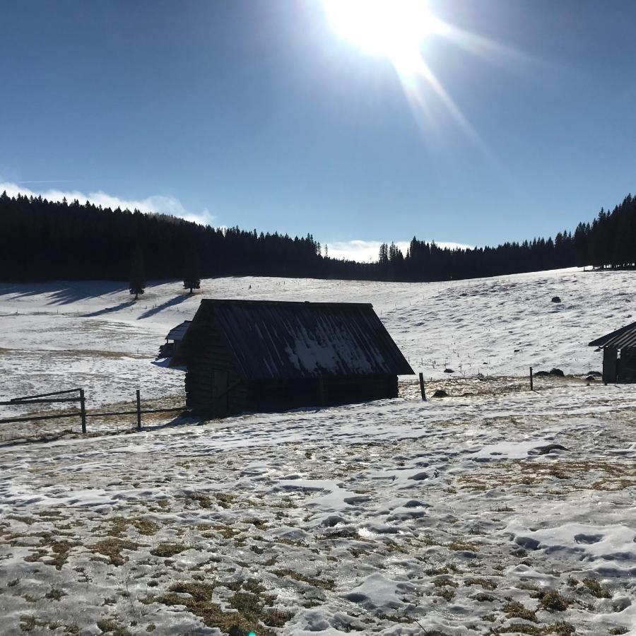 Chalet Stara Jelka Pokljuka ゴレンスカ地方 エクステリア 写真