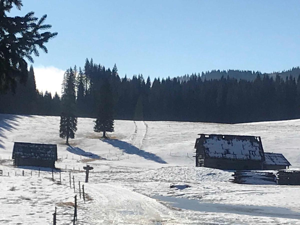 Chalet Stara Jelka Pokljuka ゴレンスカ地方 エクステリア 写真