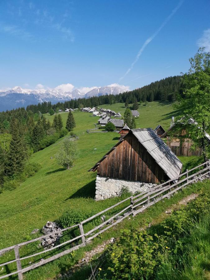 Chalet Stara Jelka Pokljuka ゴレンスカ地方 エクステリア 写真