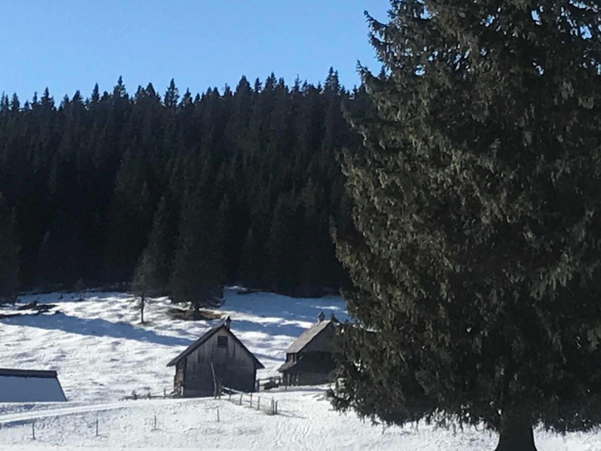 Chalet Stara Jelka Pokljuka ゴレンスカ地方 エクステリア 写真