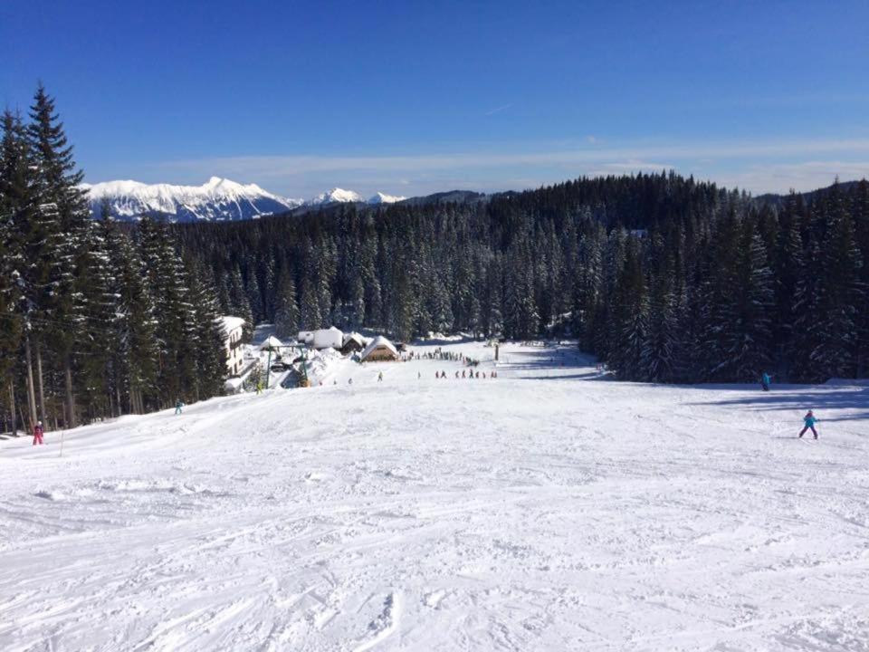 Chalet Stara Jelka Pokljuka ゴレンスカ地方 エクステリア 写真