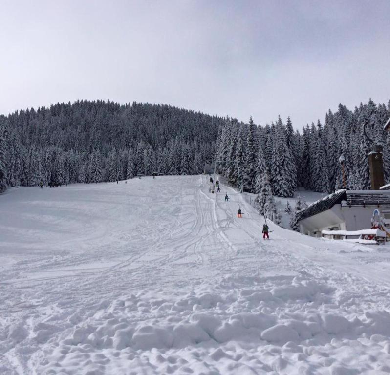 Chalet Stara Jelka Pokljuka ゴレンスカ地方 エクステリア 写真