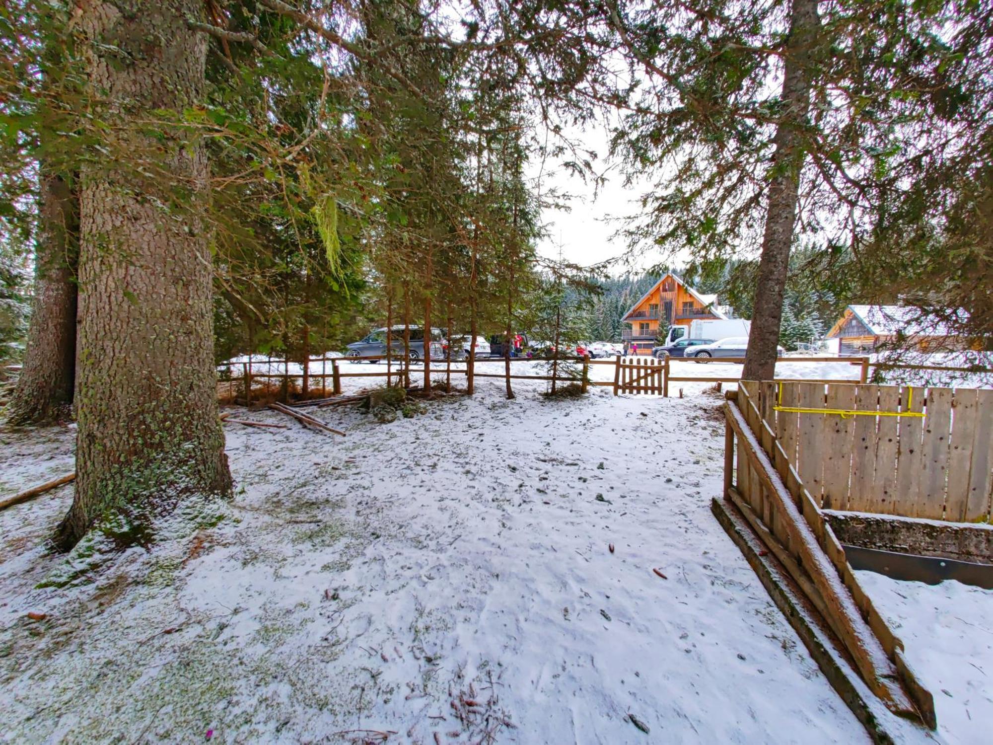 Chalet Stara Jelka Pokljuka ゴレンスカ地方 エクステリア 写真