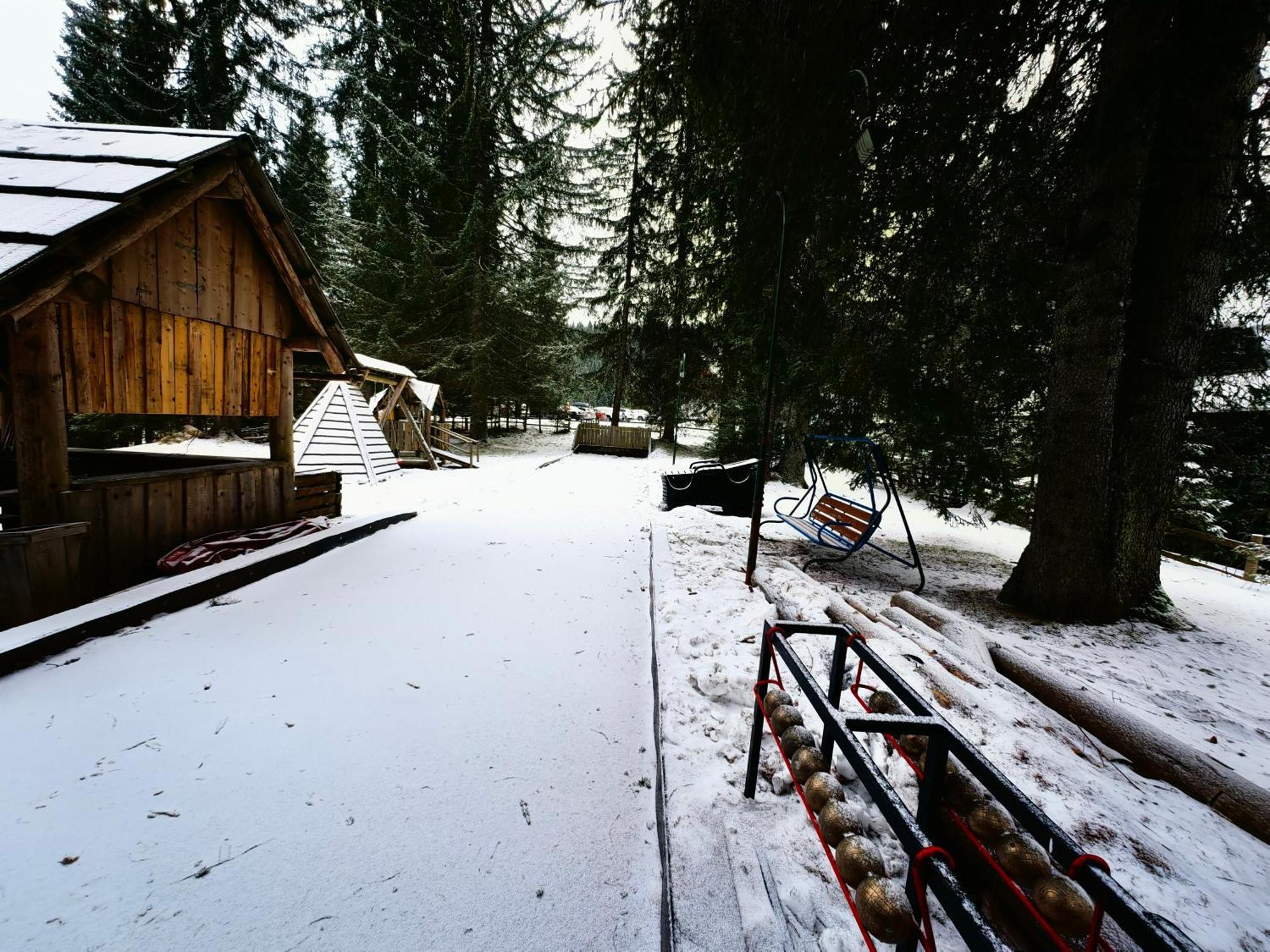 Chalet Stara Jelka Pokljuka ゴレンスカ地方 エクステリア 写真