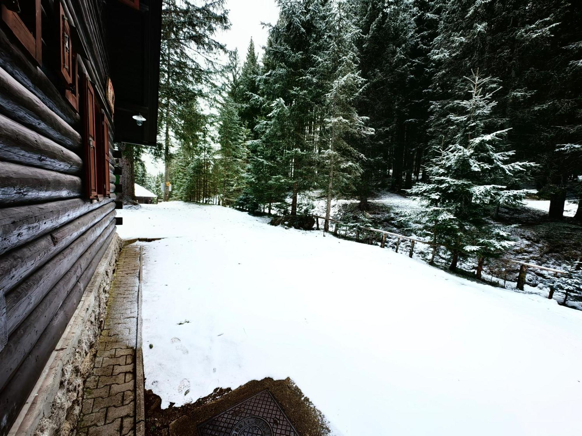Chalet Stara Jelka Pokljuka ゴレンスカ地方 エクステリア 写真