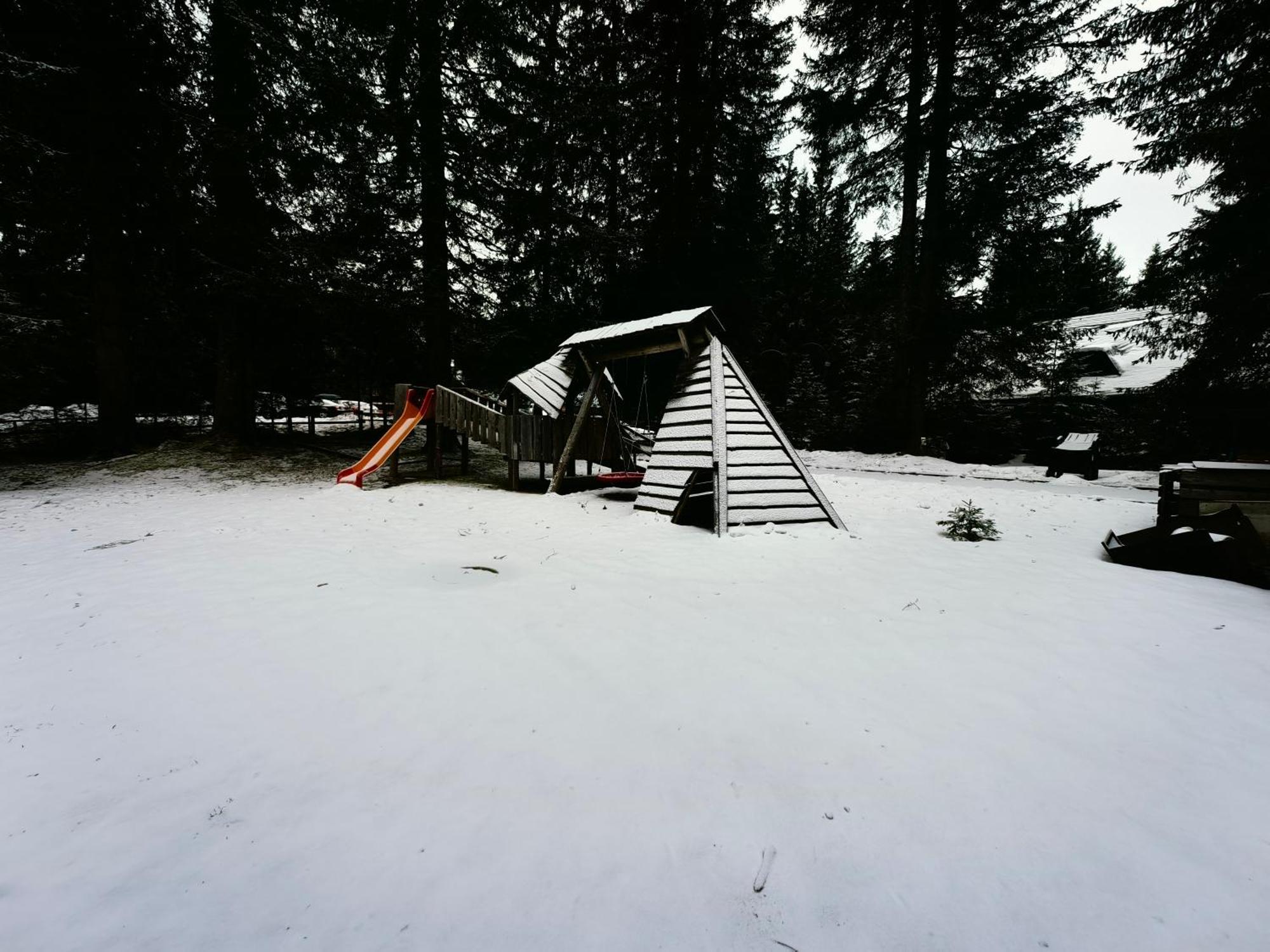Chalet Stara Jelka Pokljuka ゴレンスカ地方 エクステリア 写真