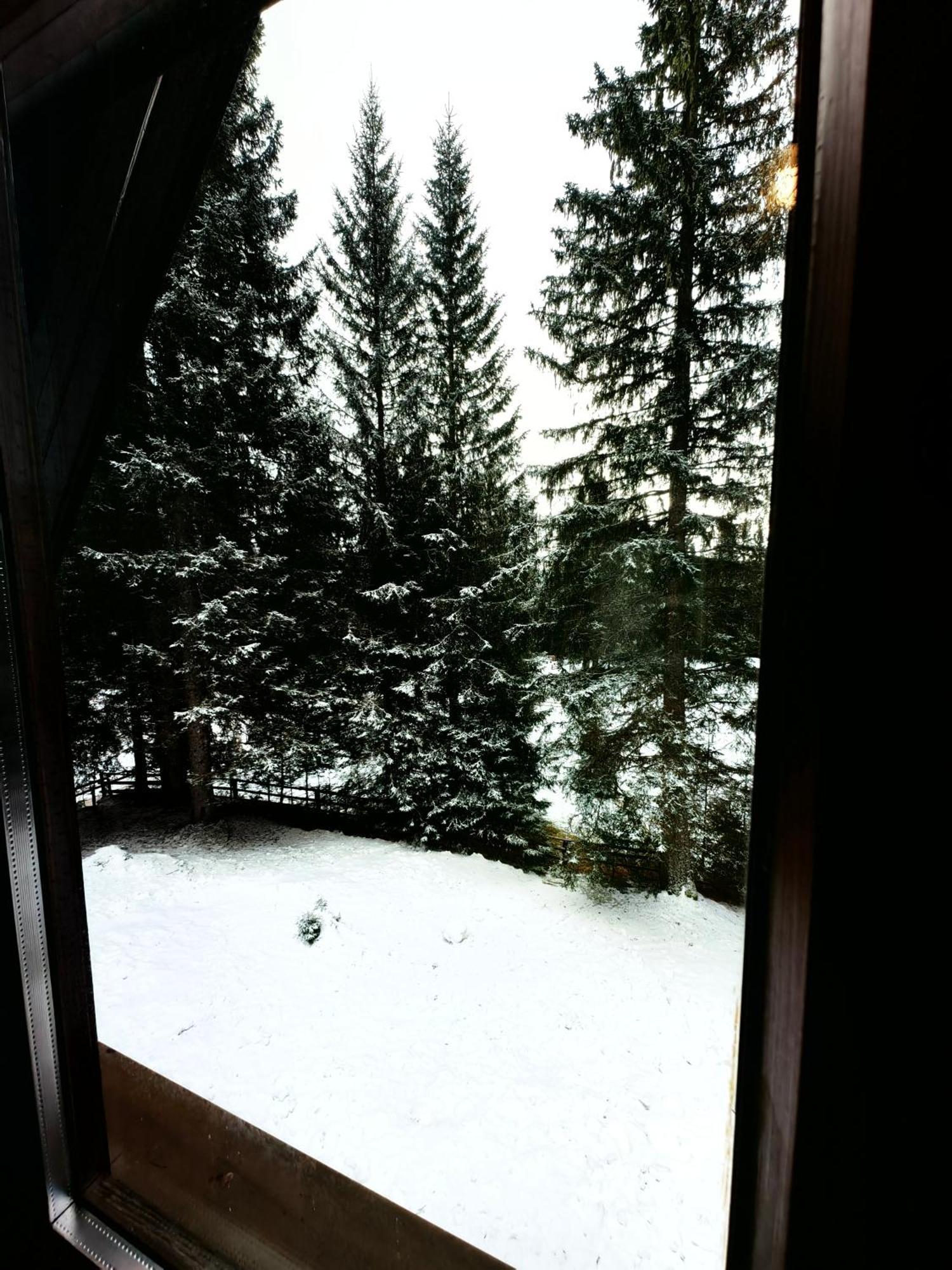 Chalet Stara Jelka Pokljuka ゴレンスカ地方 エクステリア 写真
