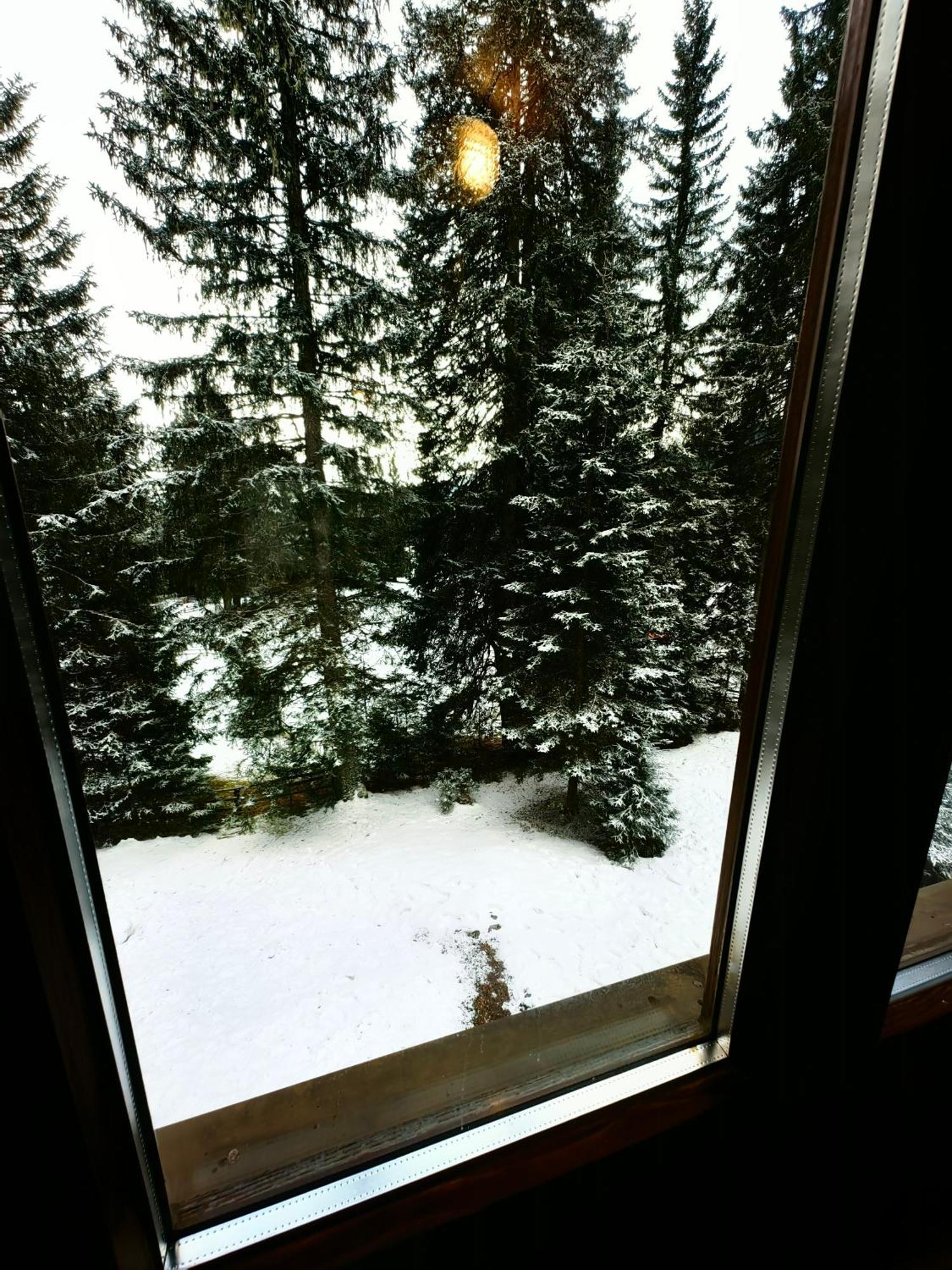 Chalet Stara Jelka Pokljuka ゴレンスカ地方 エクステリア 写真